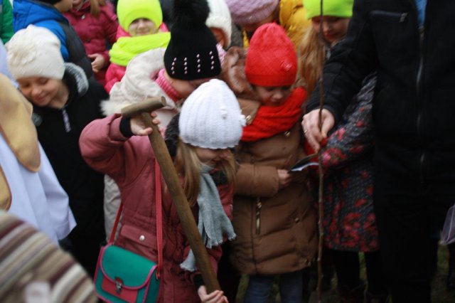 Posadzenie gruszy bł. Karoliny - 2014 r.