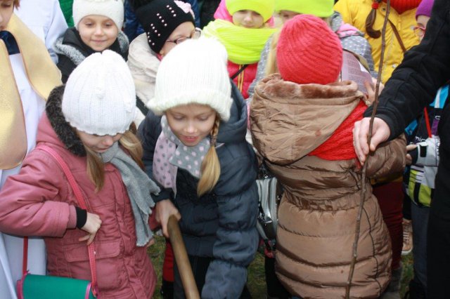 Posadzenie gruszy bł. Karoliny - 2014 r.